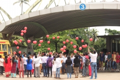 public participation